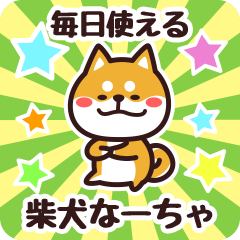 Petit Shiba Naacha (Everyday)