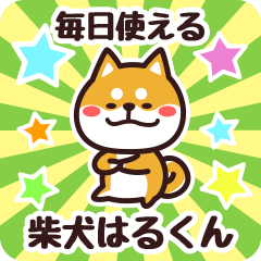 Petit Shiba Harukun (Everyday)