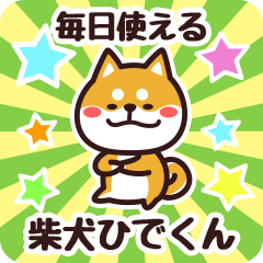 Petit Shiba Hidekun (Everyday)