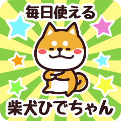 Petit Shiba Hidechan (Everyday)