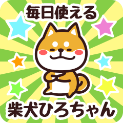 Petit Shiba Hirochan (Everyday)