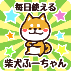 Petit Shiba Fuuchan (Everyday)