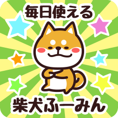 Petit Shiba Fuumin (Everyday)