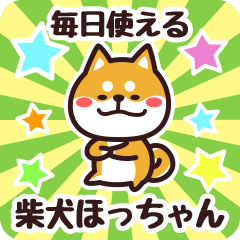 Petit Shiba Hocchan (Everyday)