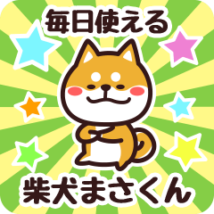 Petit Shiba Masakun (Everyday)