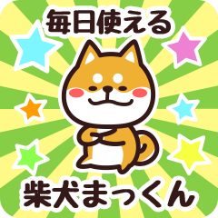 Petit Shiba Mackun (Everyday)