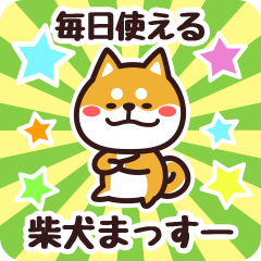 Petit Shiba Massuu (Everyday)