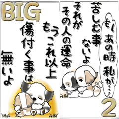 (Big)Shih Tzu Dog 2( Voice of heart)