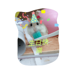 豬血糕和燒麻吉的快樂生活1