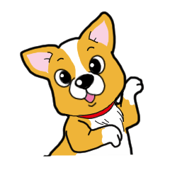 Let's play with Becky the Corgi dog