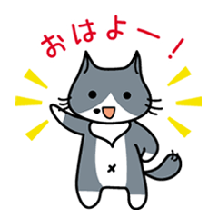 飼い猫キャッちゃんの日常