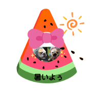 kirakirakira_20200816130917