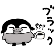 Black pengin