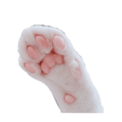 haruna_20200816133013