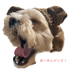 chiro_20200816131137