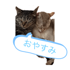hana_20200816144336