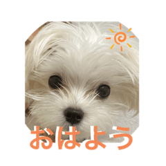 MIMI_20200816132201