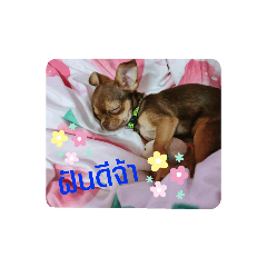 somgreang