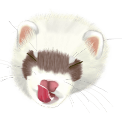 貂貂日常精緻版