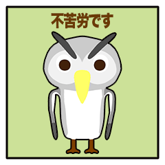 Owl Episode 1