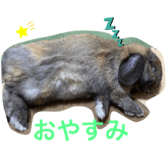 mayuyu_20200816170052