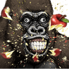 Gorilla Gorilla Best2