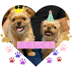 suzu_20200817000526
