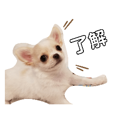 ASAKO_20200817005249