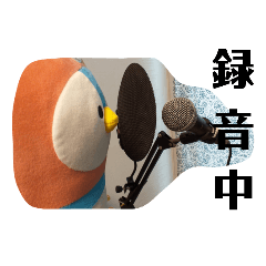 tonton_20200817021327