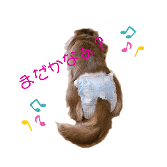 cocoa_20200817072344