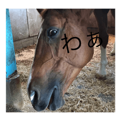 kaito_20200816190509