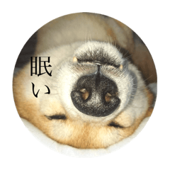 Rina_20200816182733