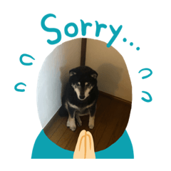 sachi's choice_20200816200414