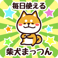 Petit Shiba Mattun (Everyday)