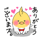 Talkative and clever cockatiel