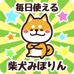 Petit Shiba Miporin (Everyday)