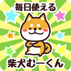 Petit Shiba Muukun (Everyday)