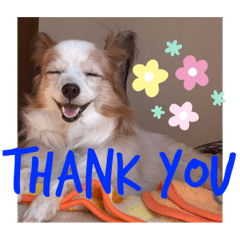 asuka_20200816220230