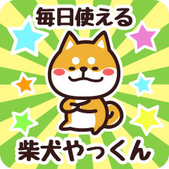 Petit Shiba Yatkun (Everyday)