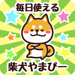 Petit Shiba Yamapii (Everyday)