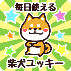 Petit Shiba Yukkii (Everyday)