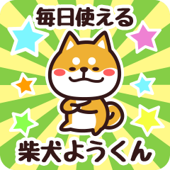 Petit Shiba Youkun (Everyday)