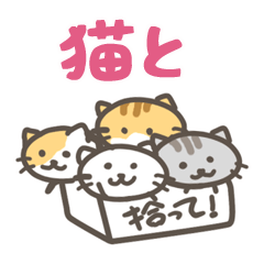 with cat Sticker