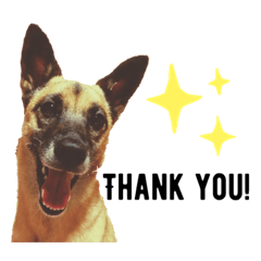 nozomi_20200817113007