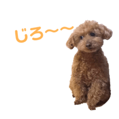 natsumi_20200816233910