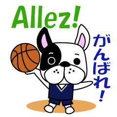 バスケ犬　フランス語と日本語