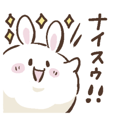 Fluffy Small White Rabbit