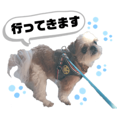 SAORI_20200817124244