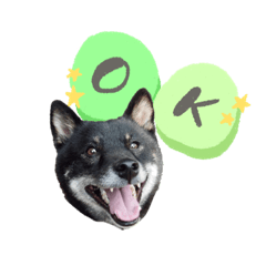 ayumi_20200817143810