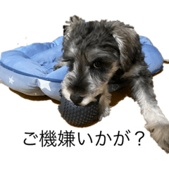 Okayama_20200817143621